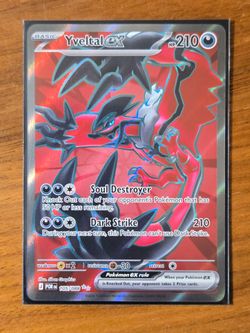 Pokemon Yveltal Ex - Perfect Order