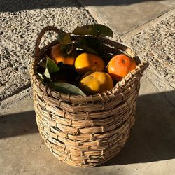 fresh cut persimmons 