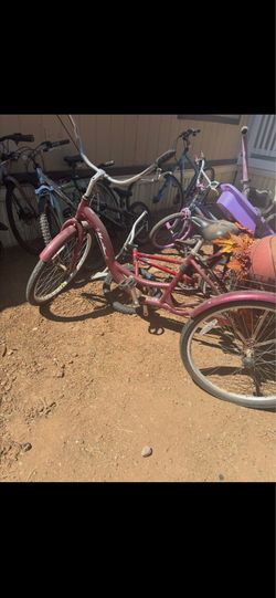Schwinn Adult Tricycle