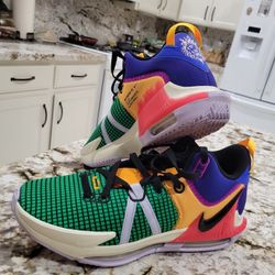 Lebron james shoes size on sale 10