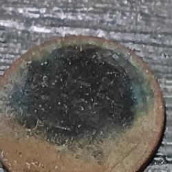 This One Is A Very Great Extremely RARE Lincoln Bicentennial Wheat Penny (1914)Collectors Collectable 