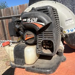 Echo Blower 