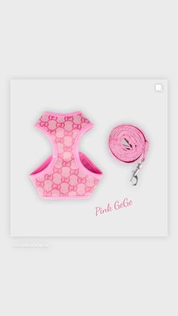 DOG HARNESS WITH MATCHING LEASH 