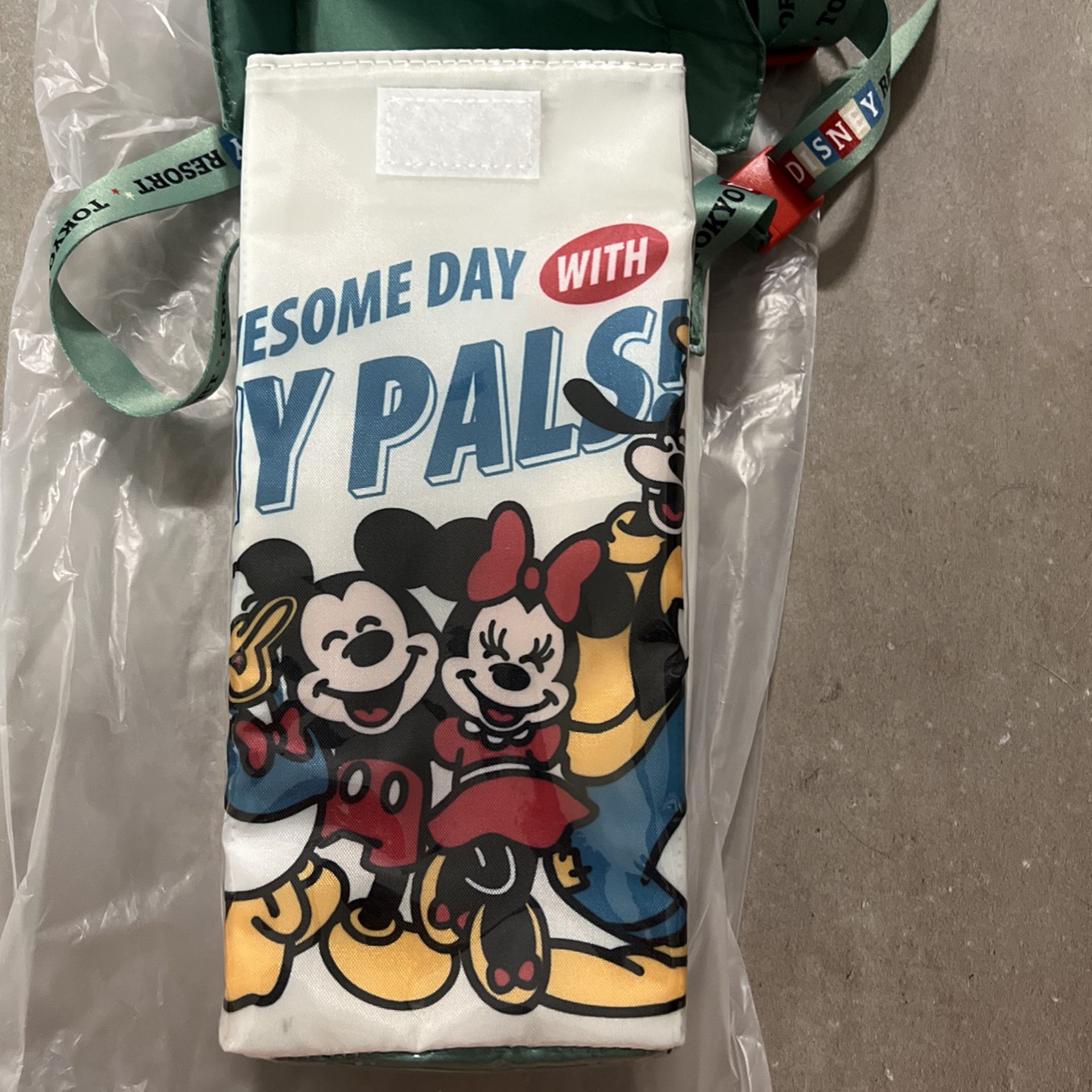 Mickey And Pals Popcorn Bag From Disneysea Tokyo