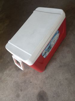 Cooler