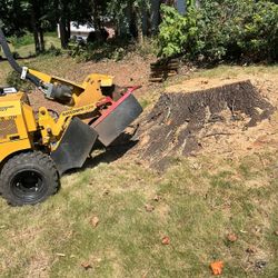 STUMP GRINDING 