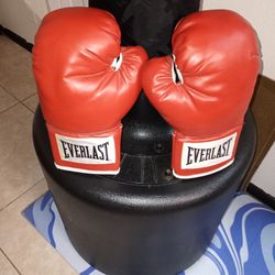 EVERLAST PUNCHING BAG WITH GLOVES