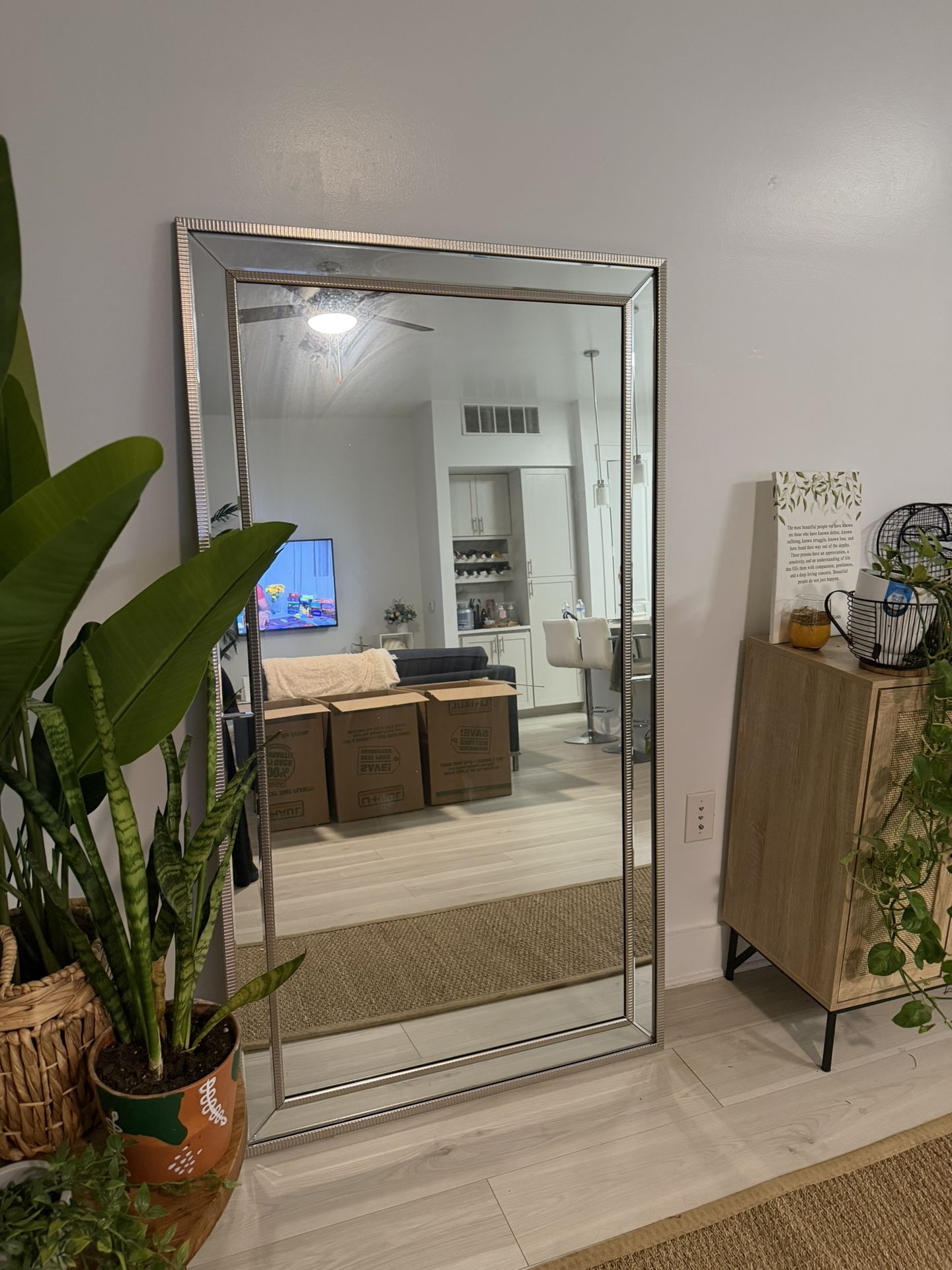 Silver Mirror Semi New