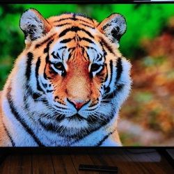 50" 4k UHD HDR QLED Smart Tv 2022