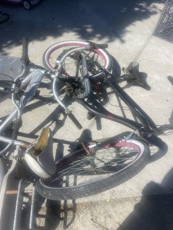 6 Beach Cruiser & Trek Bikes