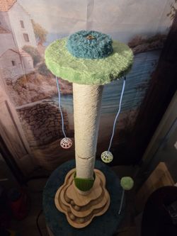 Cat Scratcher