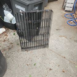 30 Inch By4by 4footdog Peb