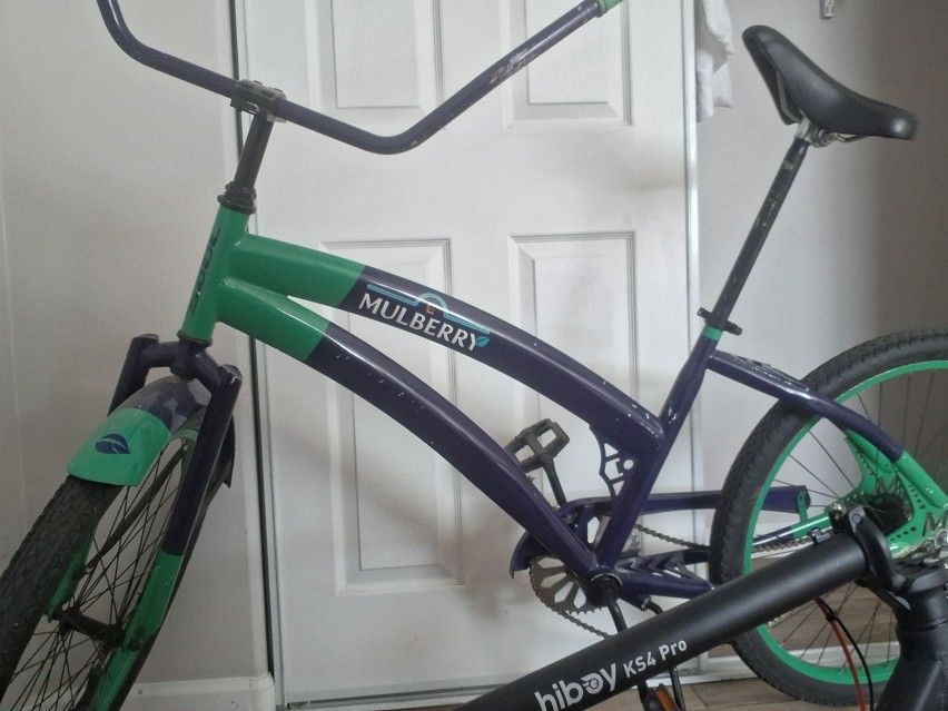 Beach Cruiser