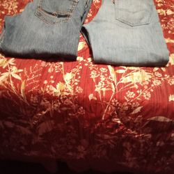 2 Pairs Of Women's Levi's Jeans