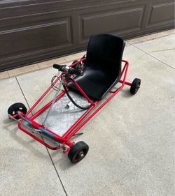 Motorized Mondoog Beach