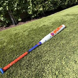 Worth baseball bat