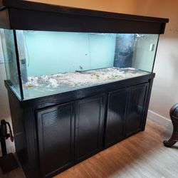 180g Fish Tank