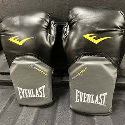 Boxing Gloves Everlast