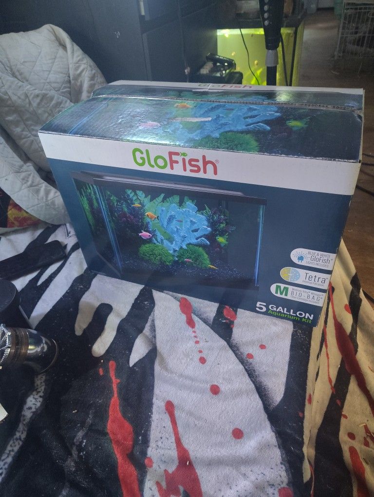 Glo Fish Tank Starter Kit