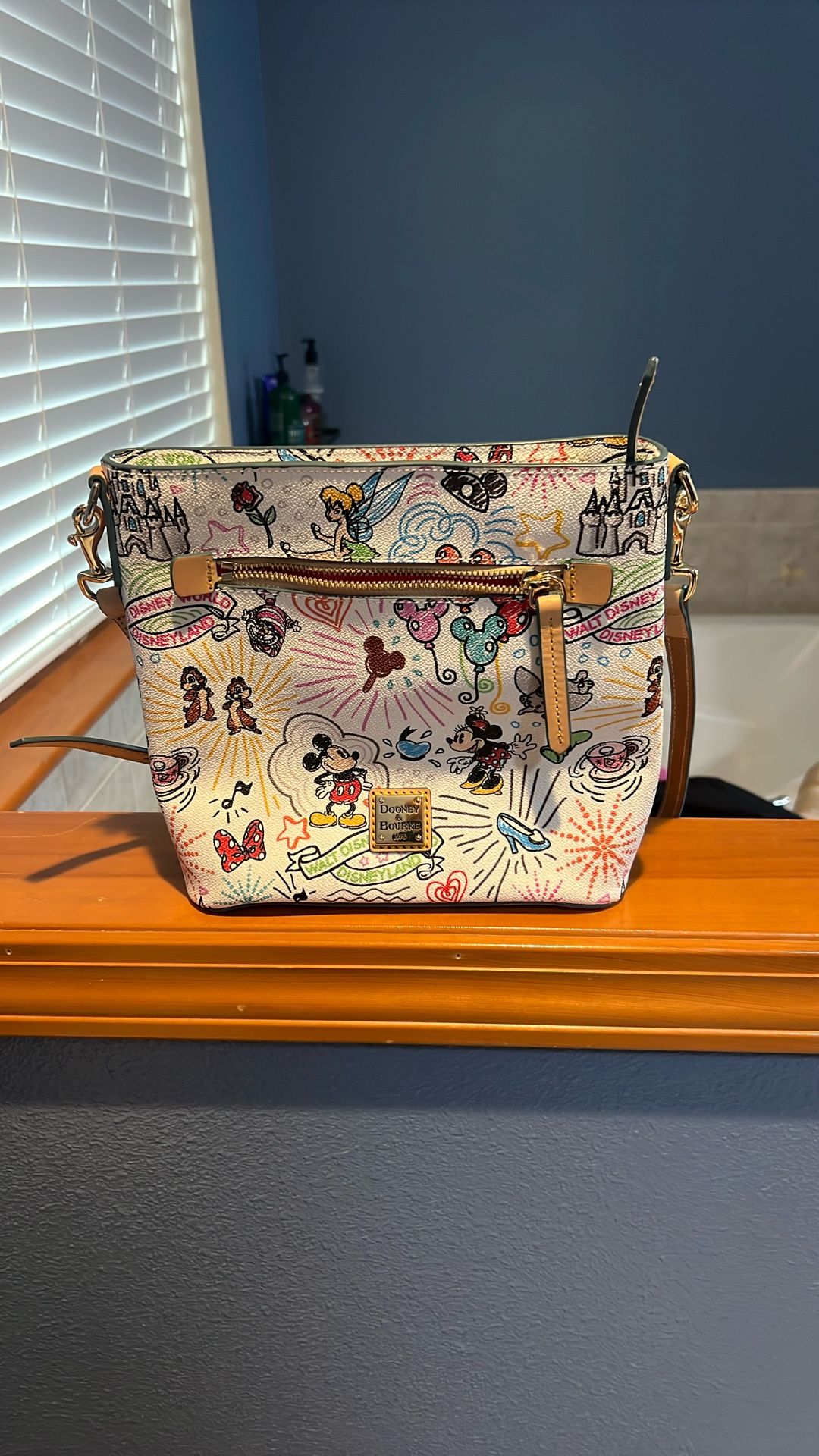 Disney Dooney and Burke Bag