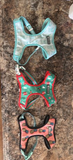 Frenchie harnesses