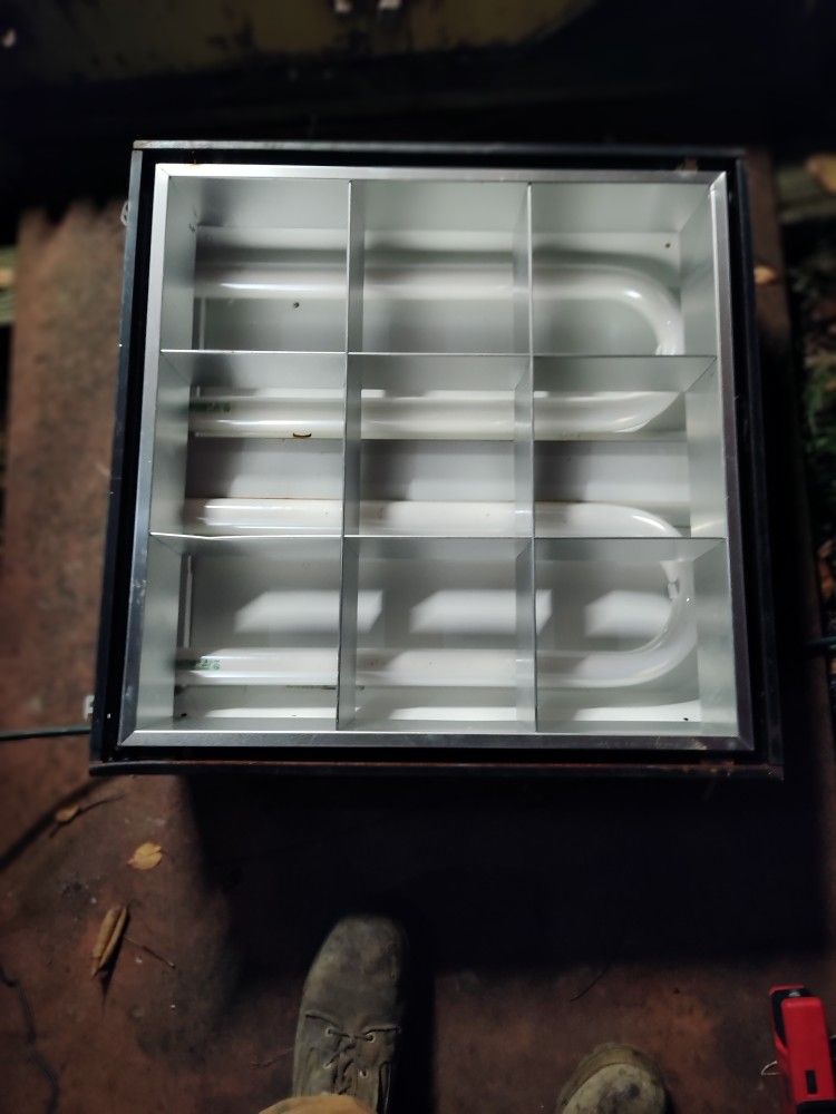 Fluorescent Overhead Lights