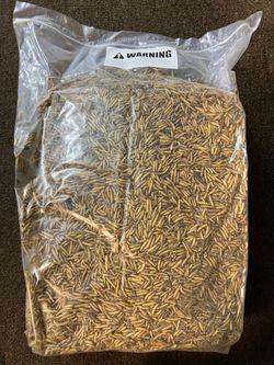 fly grubs premium feed additive