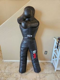 Title MMA dummy