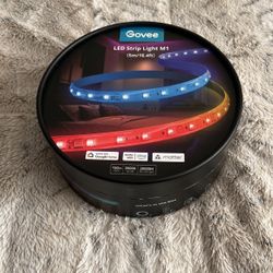 Govee Led Lights