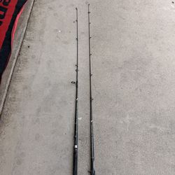 (2) Shimano fighting spinning rods