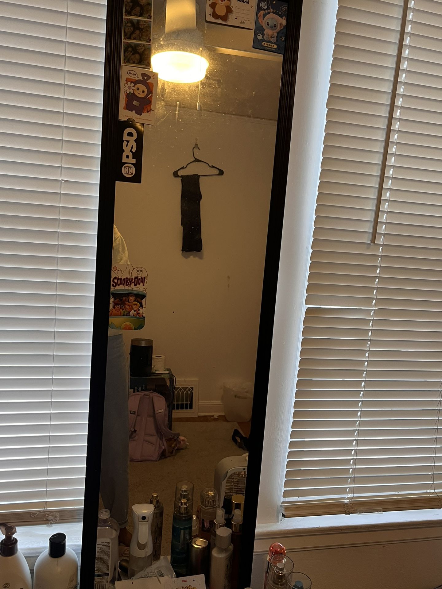 Room/Door Mirror