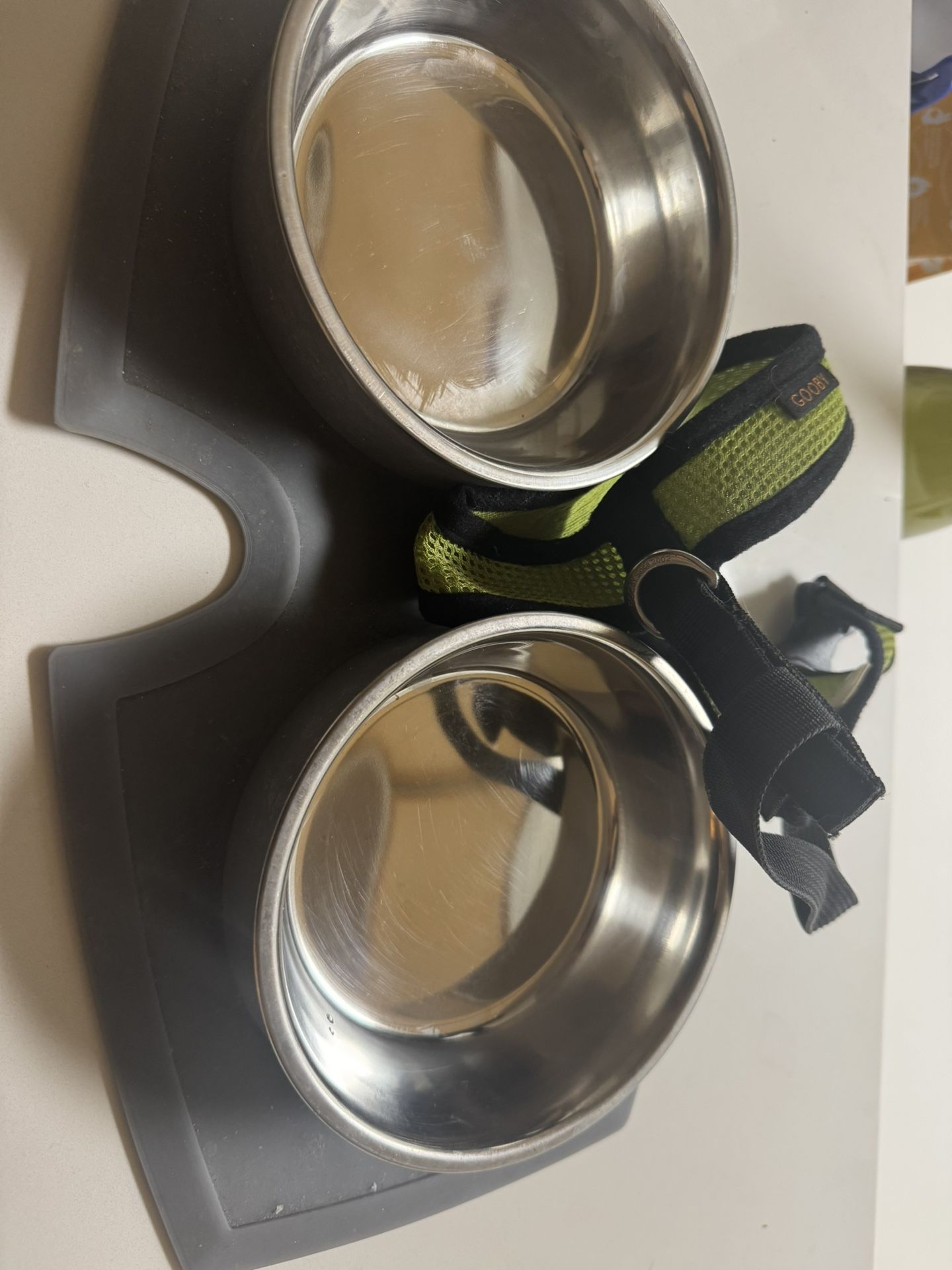 Dog Bowl Plus A Small Dog Harness