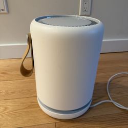 Molekule Air Mini +
