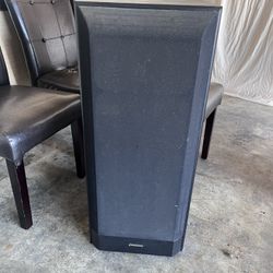 Pioneer Speaker