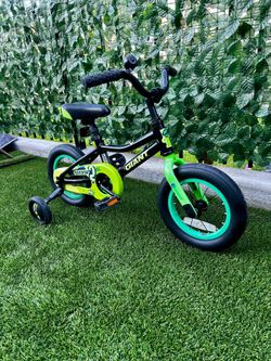 GIANT ANIMATOR KIDS BIKE 12” Wheels