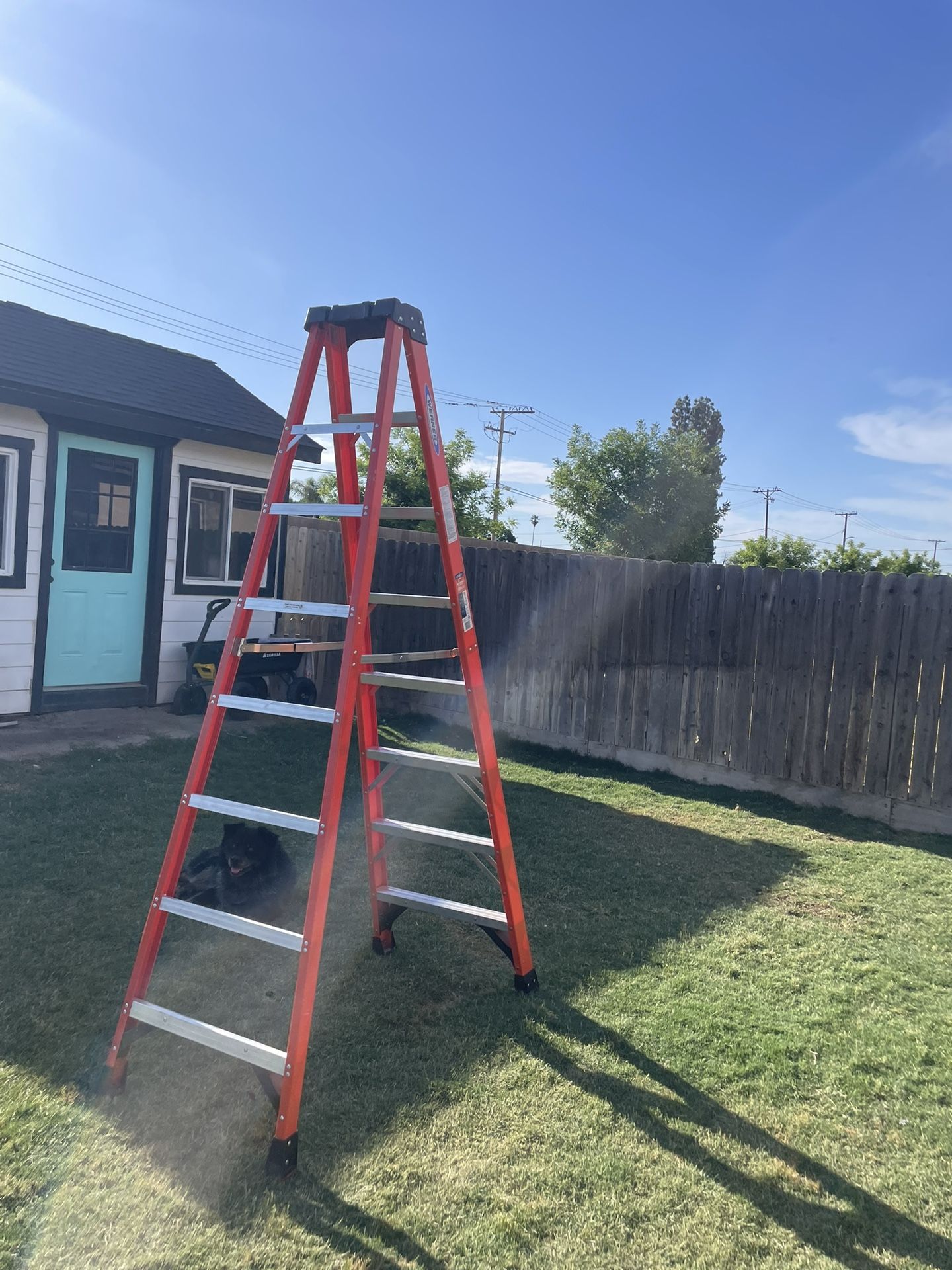 8 Foot Ladder