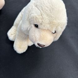Dog Plush