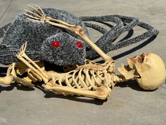 🎃 HAPPY HALLOWEEN 🎃 GIANT 2’x5’ SPIDER 🕷️ & (4) SKELETONS