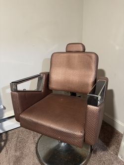 Salon Chair