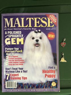 A magazine all about the beautiful Maltese dogs and two NEW charms