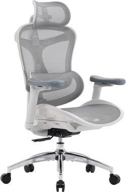 SIHOO Doro C300 Ergonomic Office Chair with Ultra Soft 3D Armrests, Dynamic Lumbar Support for Home