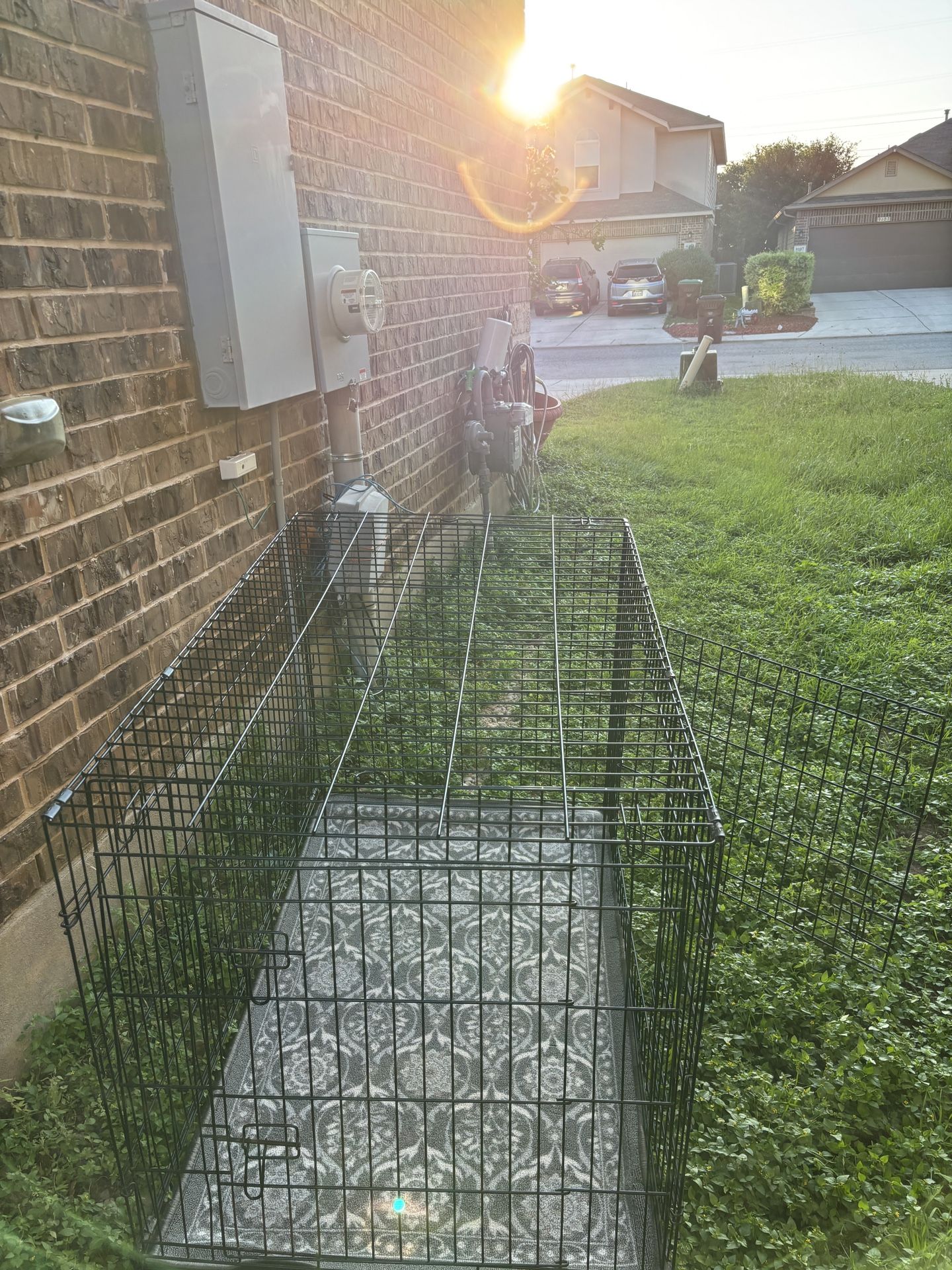 Cage Dogs Xl