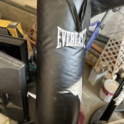 Everlast Punching Bag And Stand