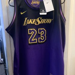 NEW Nike Los Angeles Lakers LeBron James City Edition Lake Show Youth XL Jersey