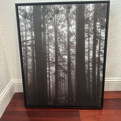 Cuadro De Naturaleza 