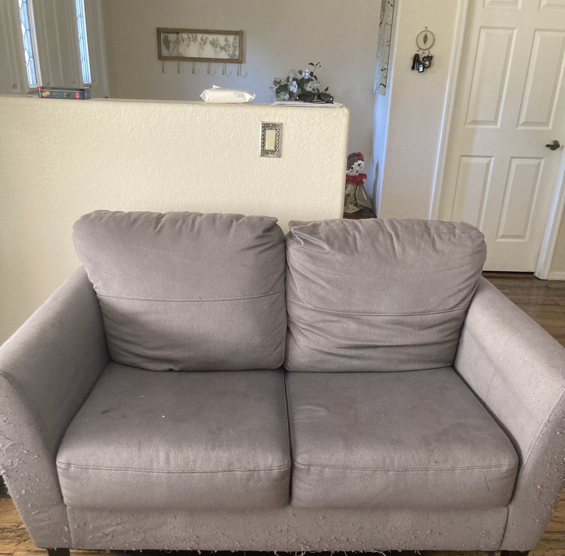 Matching Sofa and Loveseat