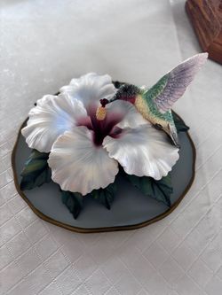 Heavenly hibiscus