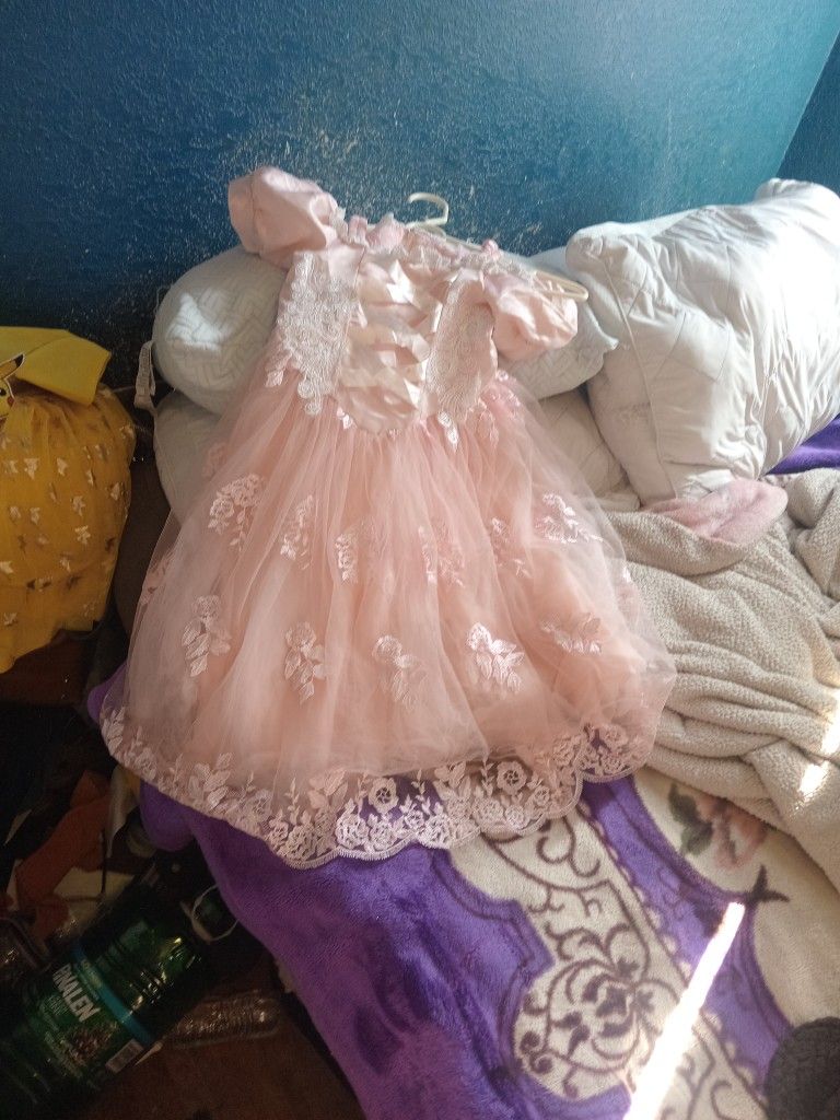 Beautiful Pink Rose Lace And Floral Dress 