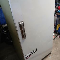 Stand Up Freezer 
