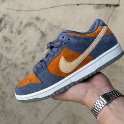Nike Dunk SB Size 7 